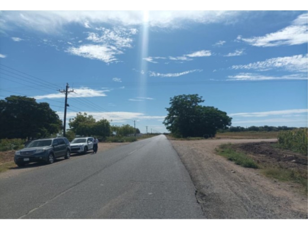 Terreno Agrícola de 7.5 Hectáreas en Huatabampo, Sonora | Oportunidad - 5