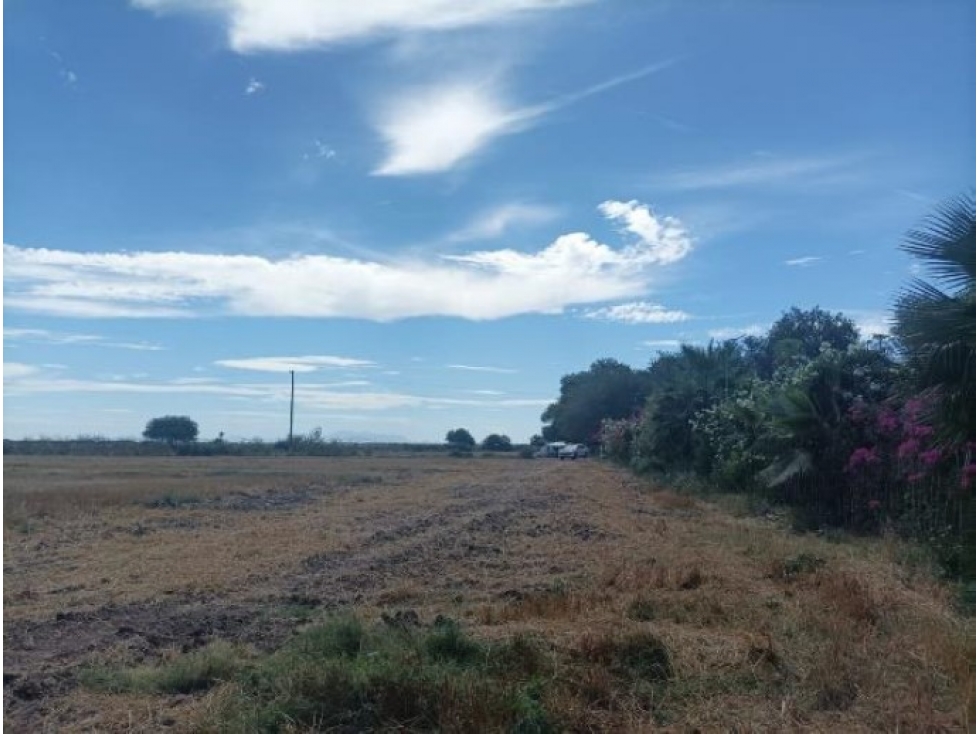 Terreno Agrícola en Venta, 10.6 Hectáreas, Huatabampo, Sonora - 1