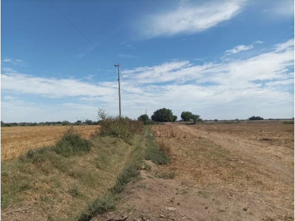 Terreno Agrícola en Venta, 10.6 Hectáreas, Huatabampo, Sonora - 2