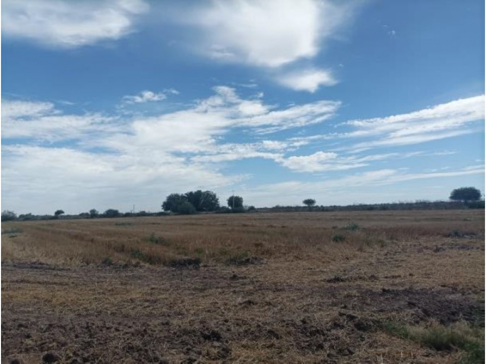 Terreno Agrícola en Venta, 10.6 Hectáreas, Huatabampo, Sonora - 3