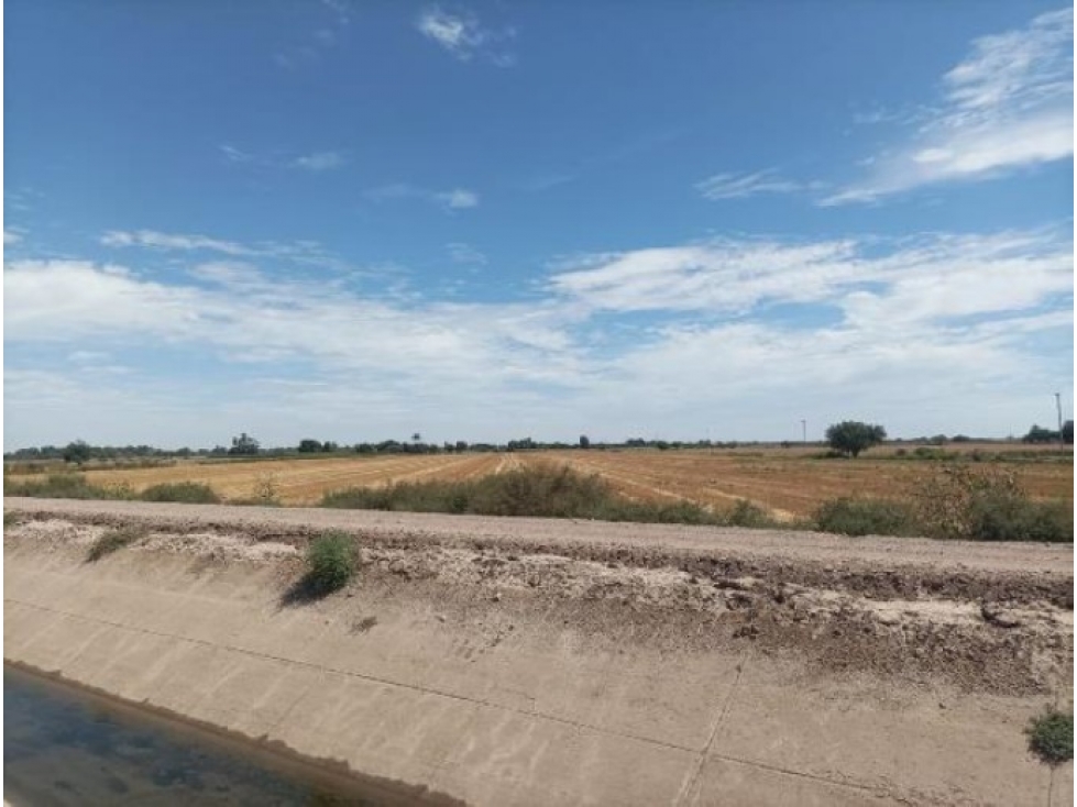 Terreno Agrícola en Venta, 10.6 Hectáreas, Huatabampo, Sonora - 4