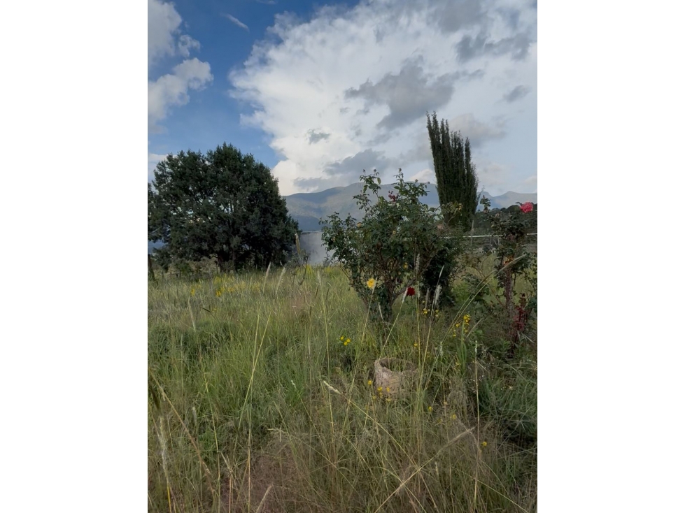 Cabaña en venta en carbonera Arteaga Coah — foto 5