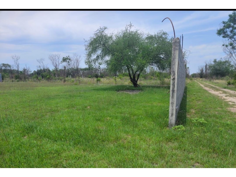 TERRENO CAMPESTRE EN VENTA EN ALLENDE NUEVO LEÓN - 4