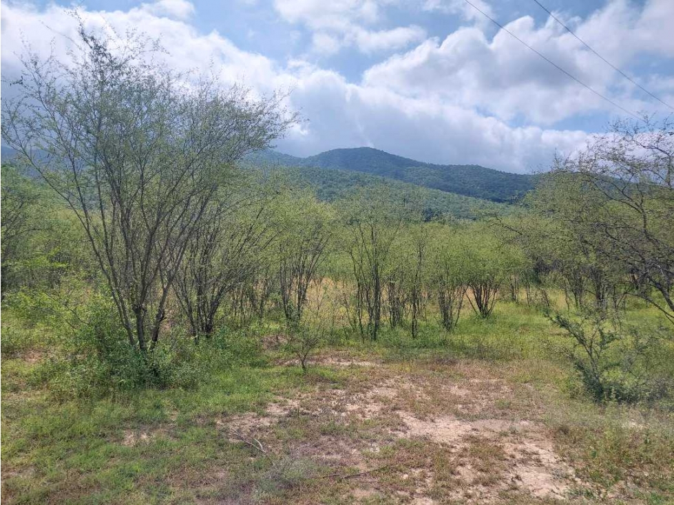 LGM TERRENO CAMPESTRE EN VENTA VALLE VENADO - 3