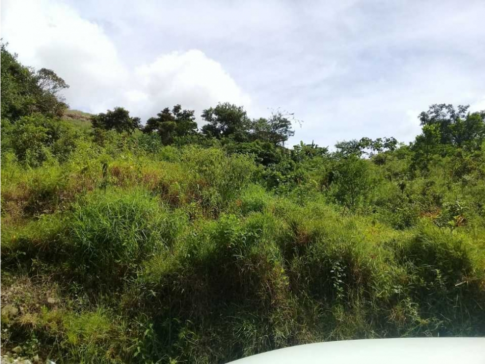 TERRENO CERCA DEL VALLE DE ANTÓN - 1