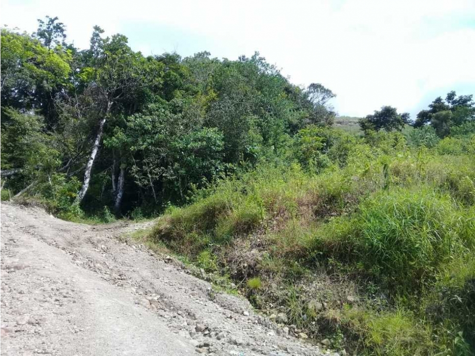 TERRENO CERCA DEL VALLE DE ANTÓN - 2