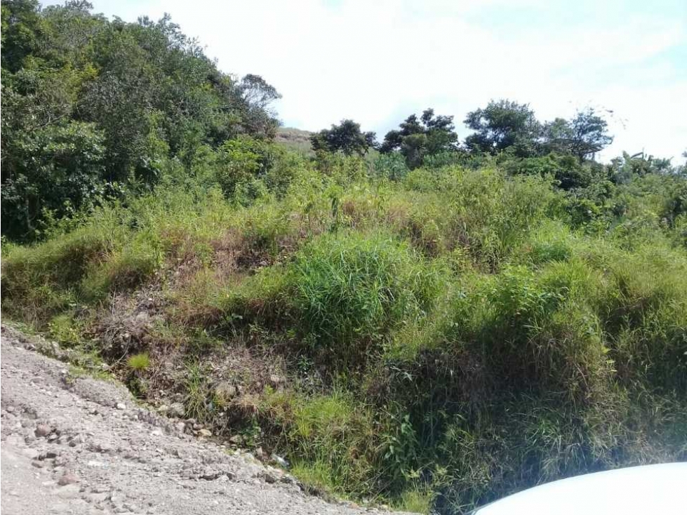 TERRENO CERCA DEL VALLE DE ANTÓN - 3