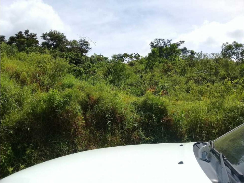 TERRENO CERCA DEL VALLE DE ANTÓN - 5