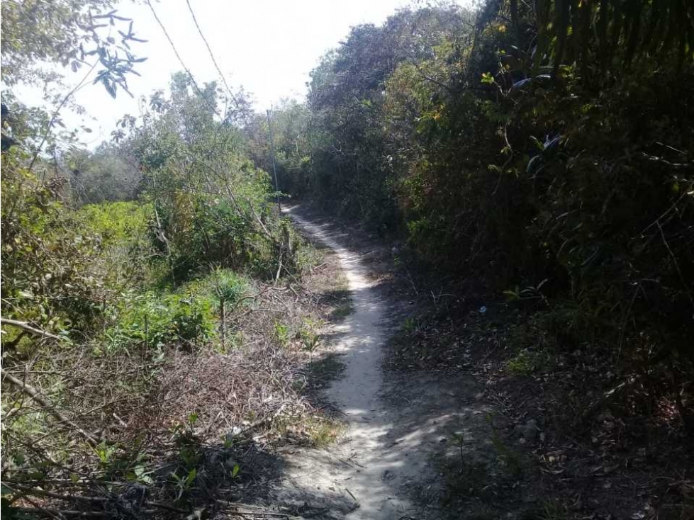 TERRENO CERCA DEL VALLE DE ANTÓN - 6