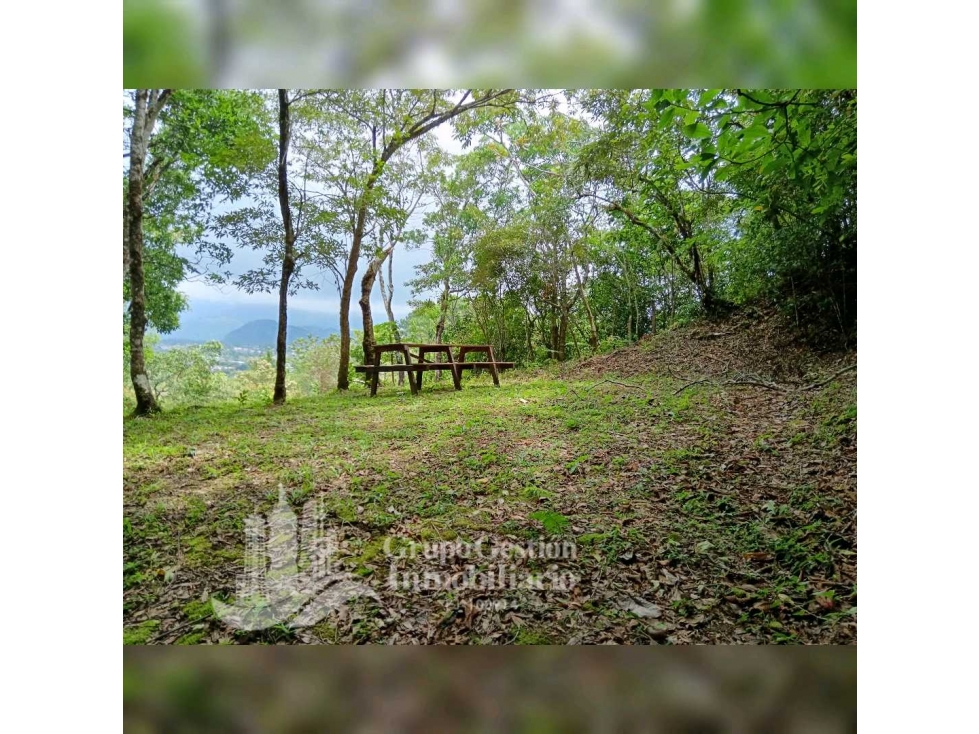 SE VENDE TERRENO COLINA, BOSCOSO (10,400M) - 2