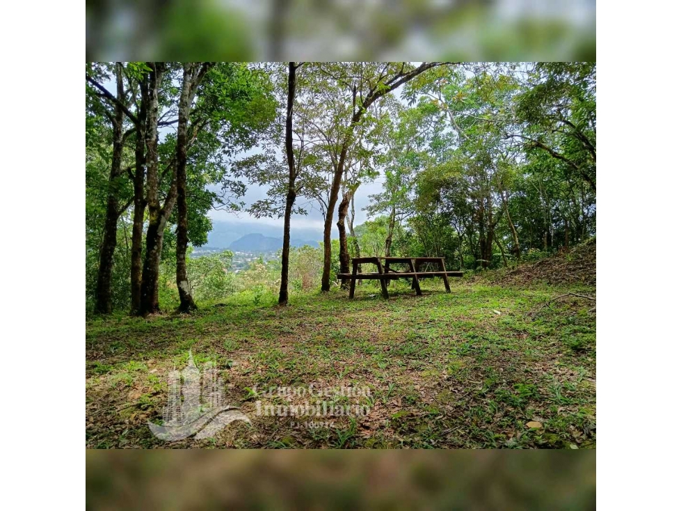 SE VENDE TERRENO COLINA, BOSCOSO (10,400M) - 3