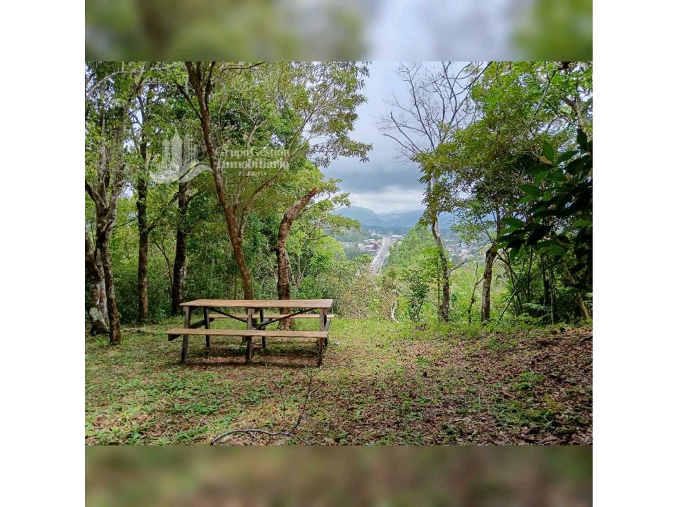 SE VENDE TERRENO COLINA, BOSCOSO (10,400M) - 4