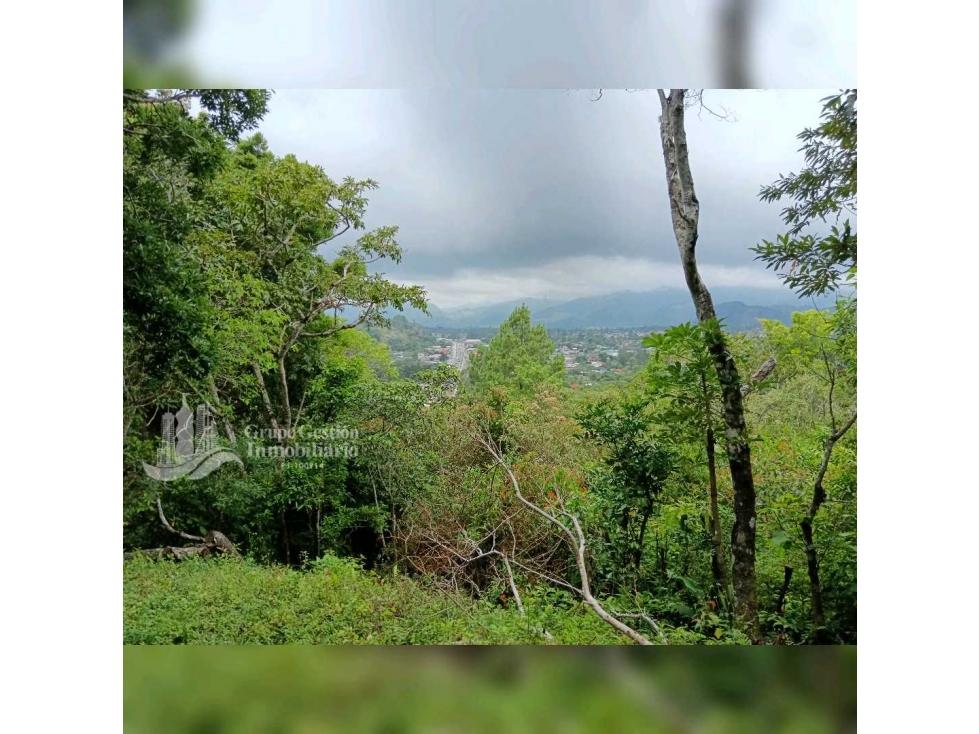 SE VENDE TERRENO COLINA, BOSCOSO (10,400M) - 5