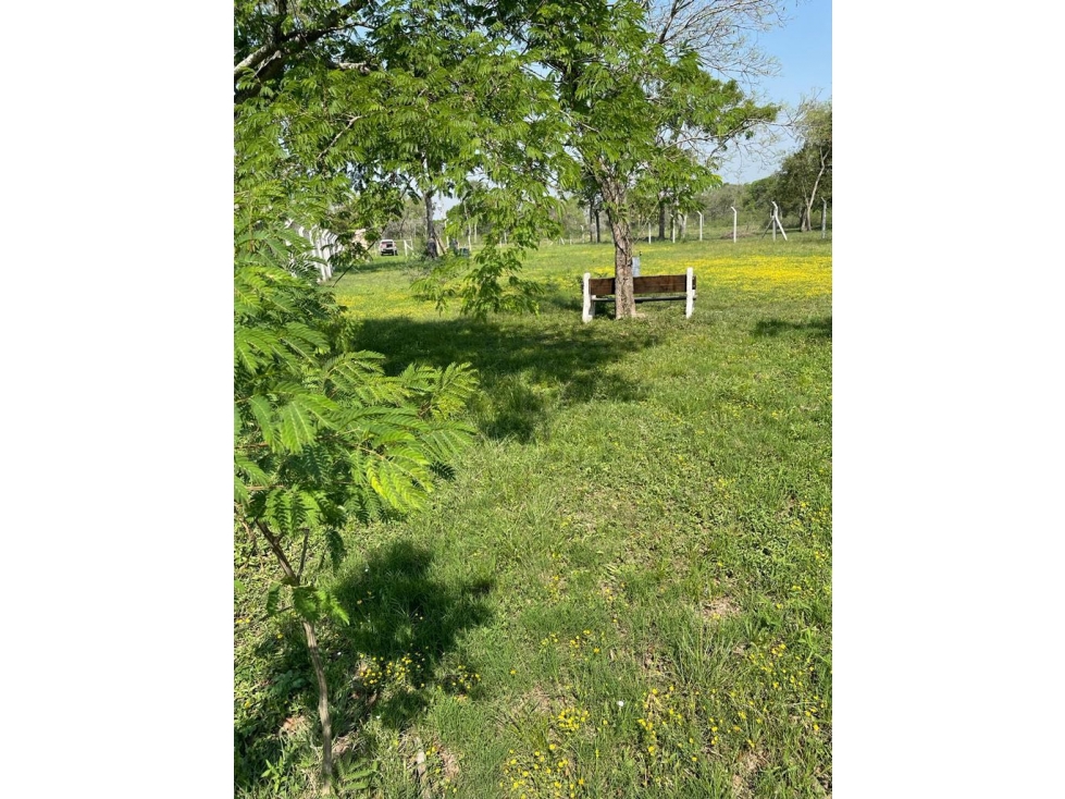 Gran terreno en Colonia Benítez cercano al Río Tragadero - 5