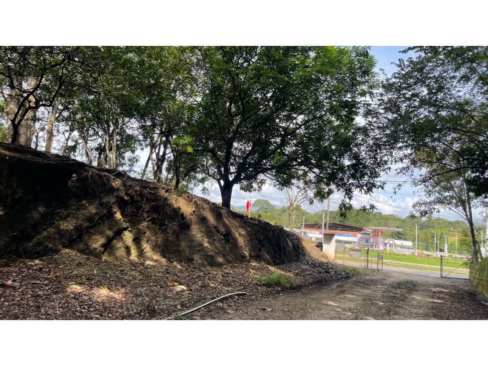 Terreno Industrial en venta vía principal Pacora de Chepo - 4