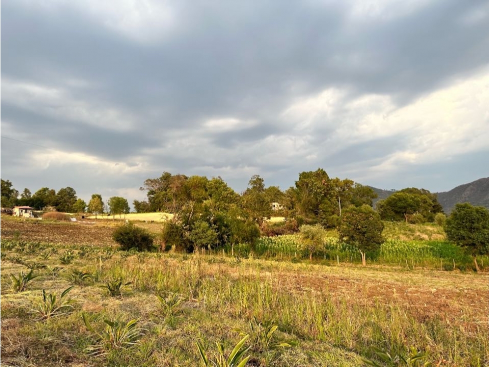 TERRENO EN VENTA I CANAL DE RIEGO I TILOXTOC I VALLE DE BRAVO — foto 6