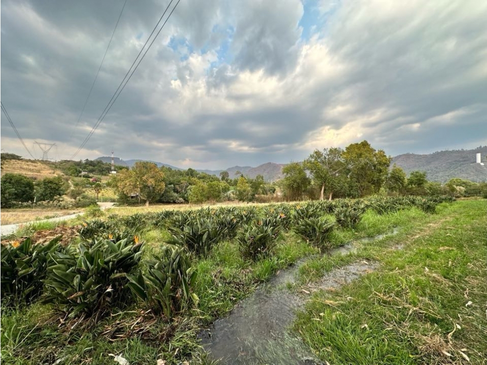 TERRENO EN VENTA I CANAL DE RIEGO I AVE DE PARAÍSO I TILOXTOC