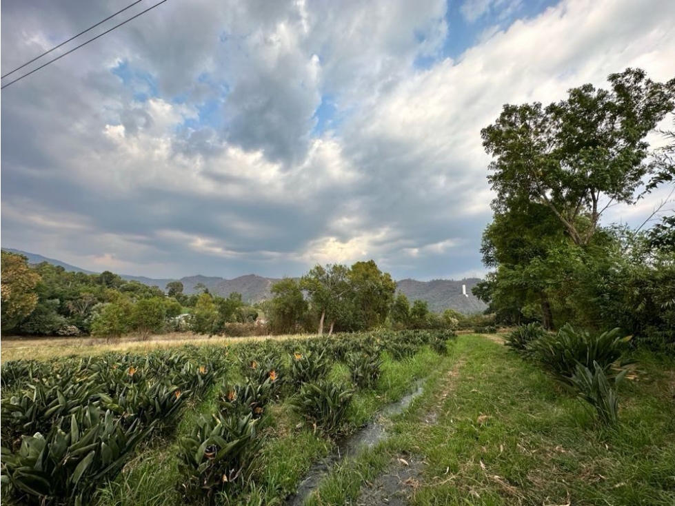 TERRENO EN VENTA I CANAL DE RIEGO I AVE DE PARAÍSO I TILOXTOC — foto 2