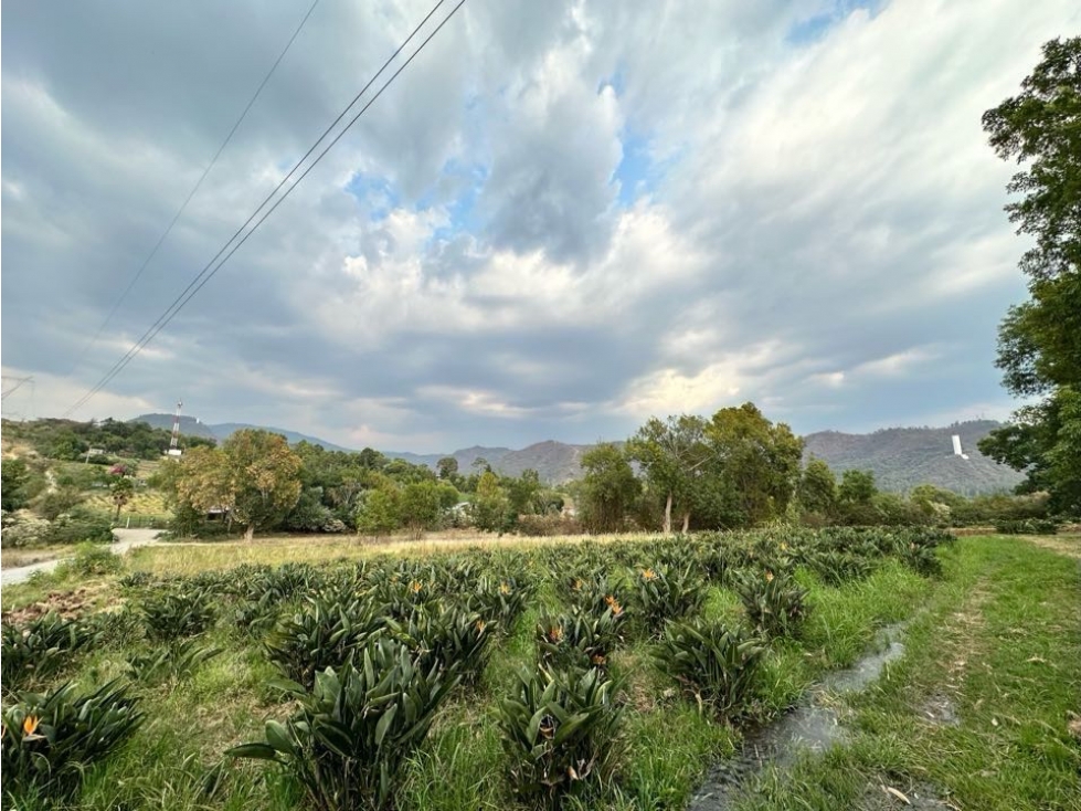 TERRENO EN VENTA I CANAL DE RIEGO I AVE DE PARAÍSO I TILOXTOC — foto 4