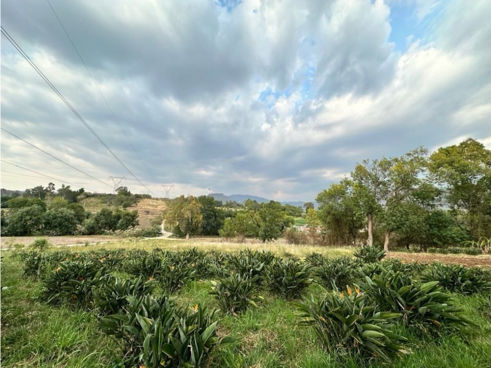 TERRENO EN VENTA I CANAL DE RIEGO I AVE DE PARAÍSO I TILOXTOC — foto 6