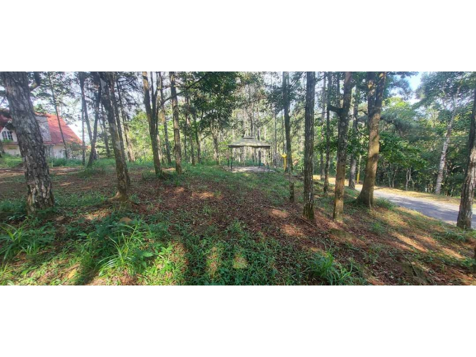 TERRENO CON CASA EN ALTOS DE CERRO AZUL 1323 m2