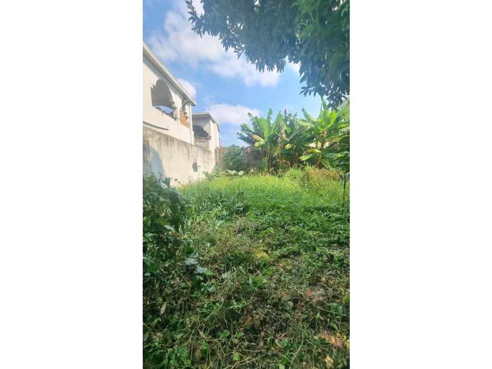 Terreno Con Casa y local Comercial Calle Corregidora - 2