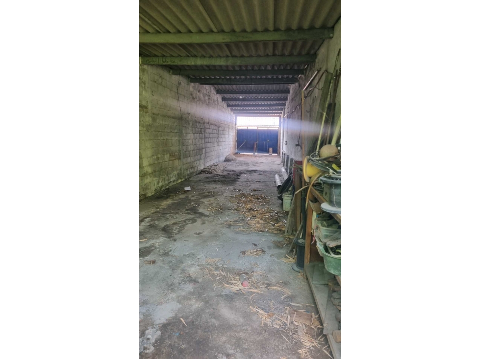 Terreno Con Casa y local Comercial Calle Corregidora - 3