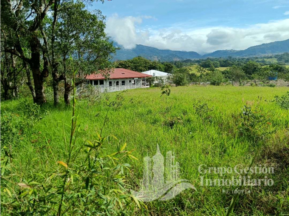 SE VENDE TERRENO PEQUEÑA GALERA, BELLAS VISTAS - 1