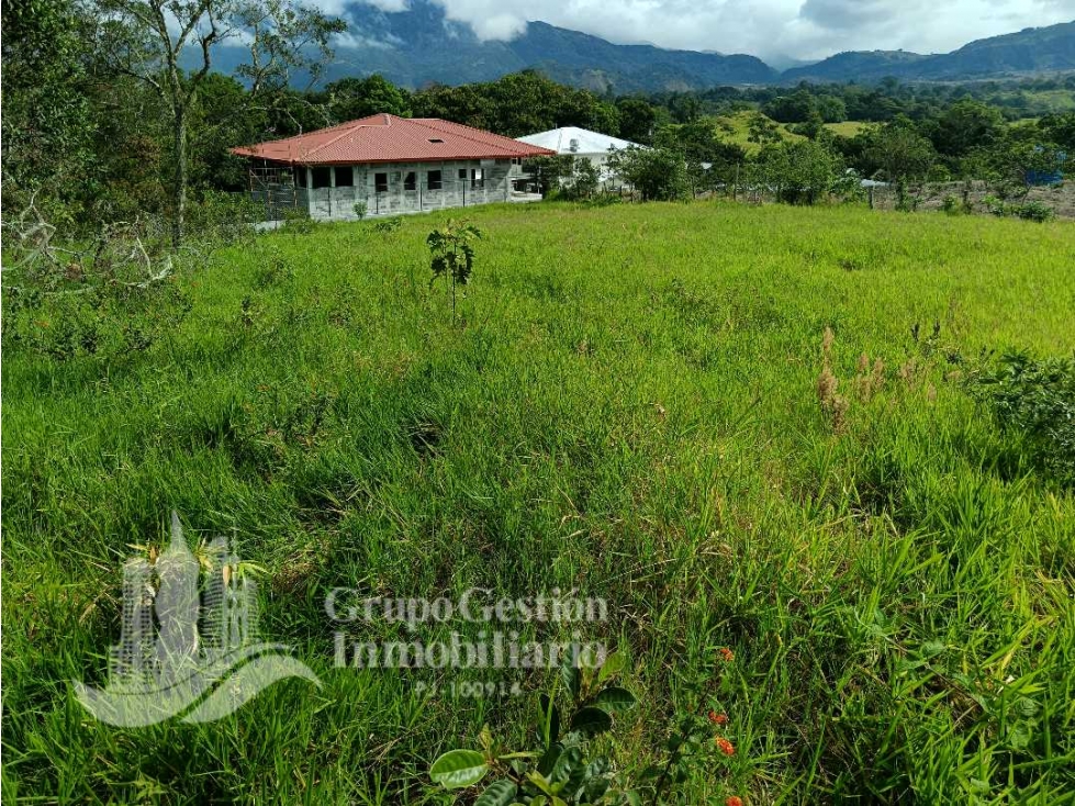 SE VENDE TERRENO PEQUEÑA GALERA, BELLAS VISTAS - 3
