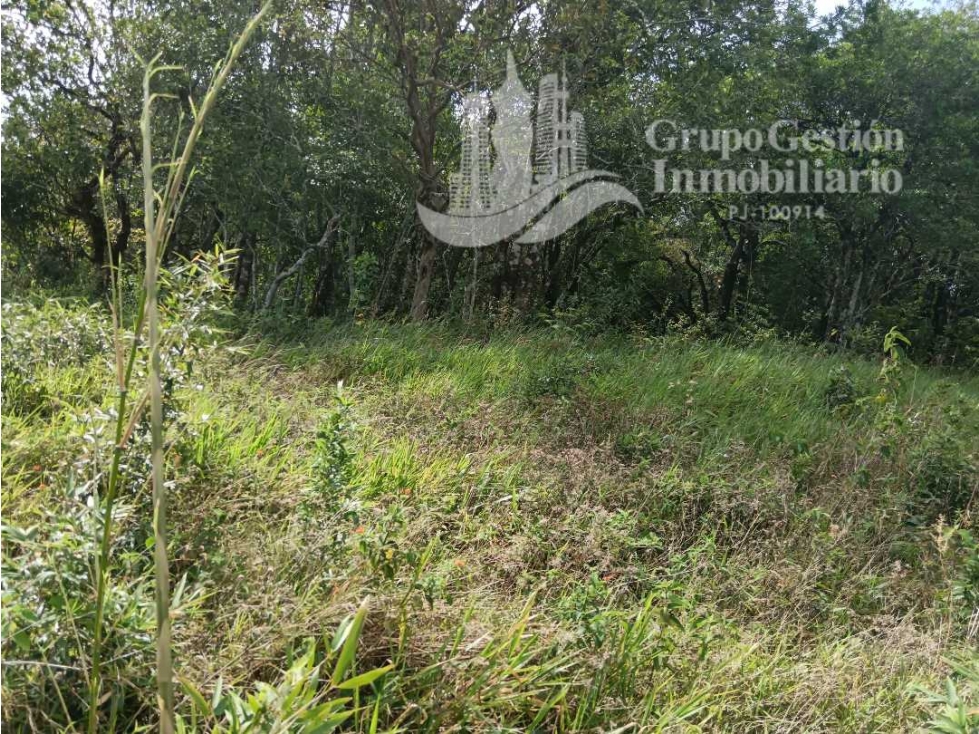 SE VENDE TERRENO PEQUEÑA GALERA, BELLAS VISTAS - 6