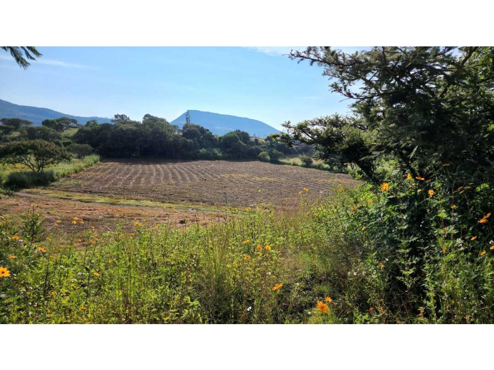 Terreno con potencial urbano, Tonatico 12,000 m² - 1