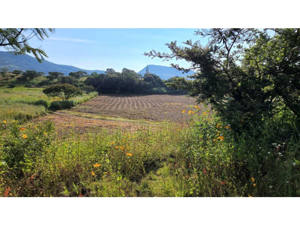 Terreno con potencial urbano, Tonatico 12,000 m² - 2