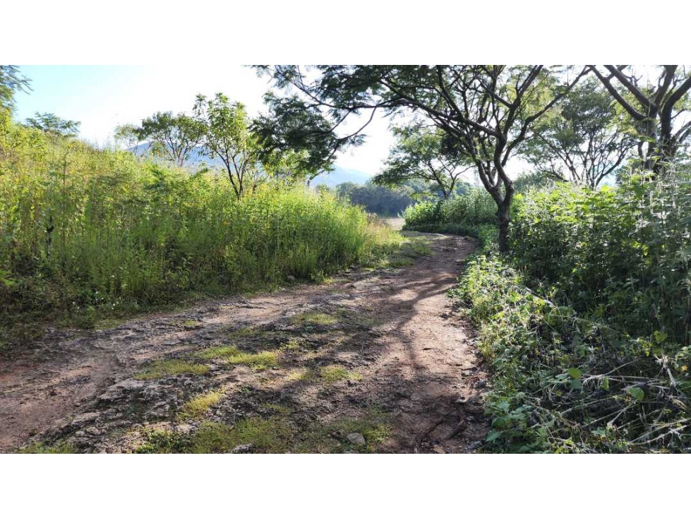 Terreno con potencial urbano, Tonatico 12,000 m² - 3