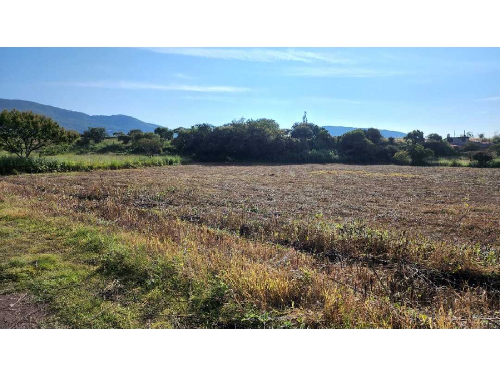 Terreno con potencial urbano, Tonatico 12,000 m² - 4