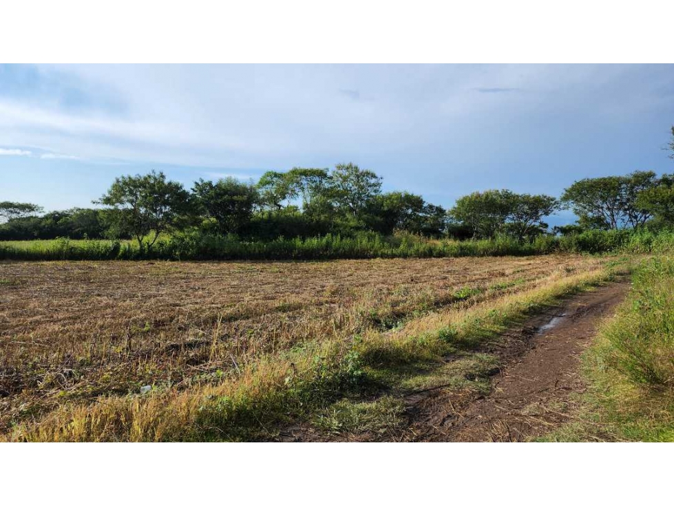 Terreno con potencial urbano, Tonatico 12,000 m² - 5