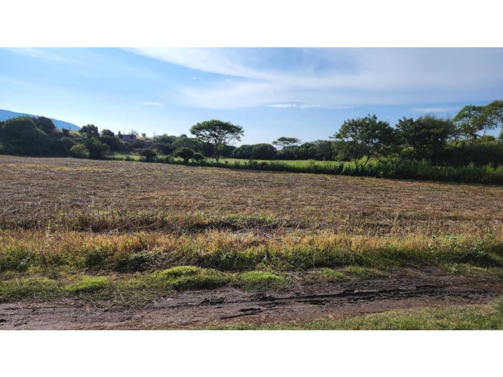 Terreno con potencial urbano, Tonatico 12,000 m² - 6