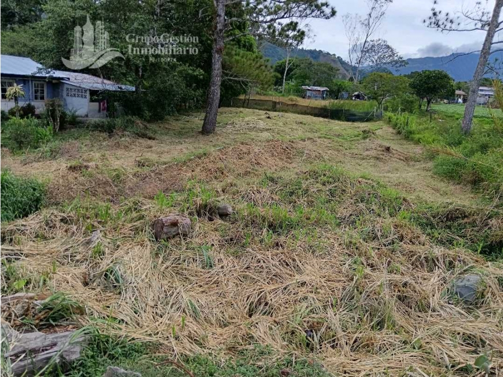 SE VENDE TERRENO, CERCADA, CERCA DE SAN BENITO - 6