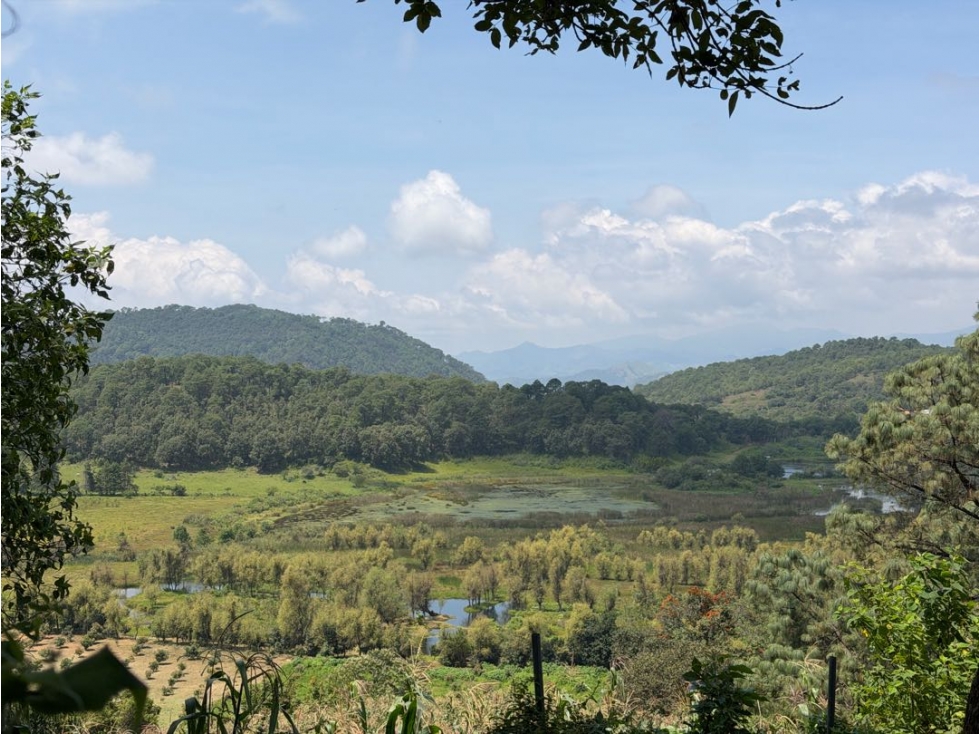 TERRENO CON ÁRBOLES FRUTALES | SAN JUAN ATEZCAPAN | VALLE DE BRAVO - 1