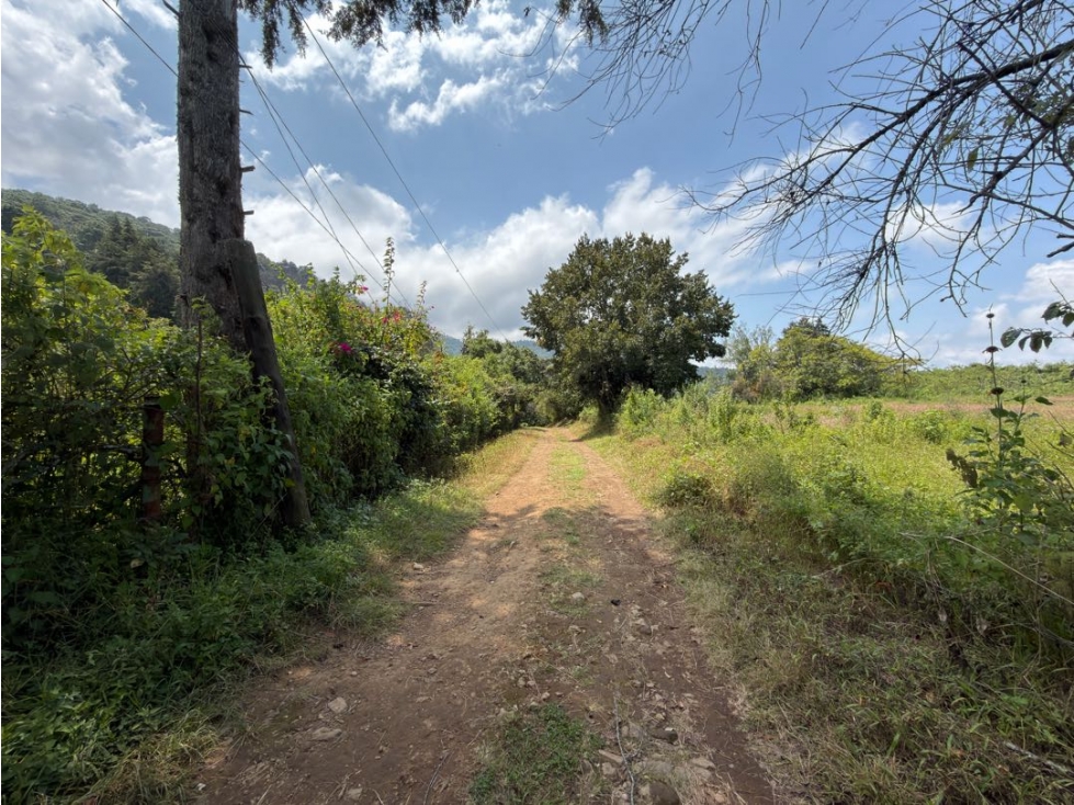TERRENO CON ÁRBOLES FRUTALES | SAN JUAN ATEZCAPAN | VALLE DE BRAVO - 3