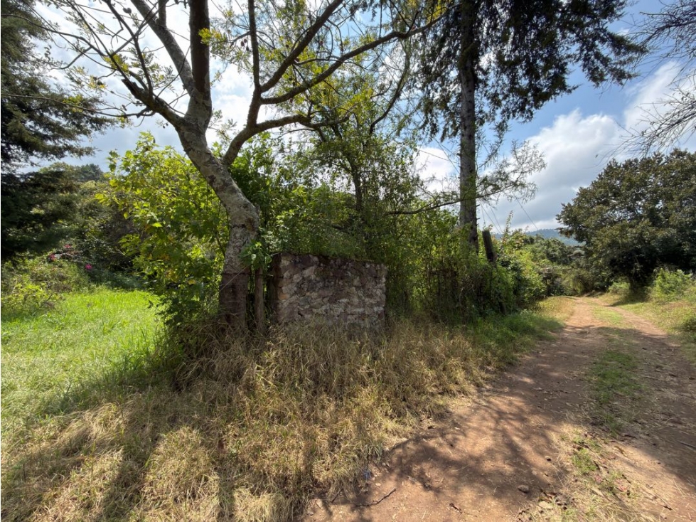 TERRENO CON ÁRBOLES FRUTALES | SAN JUAN ATEZCAPAN | VALLE DE BRAVO - 4