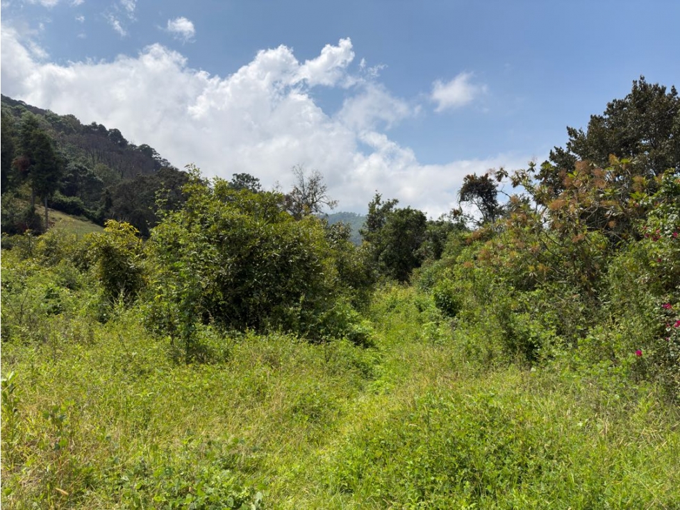 TERRENO CON ÁRBOLES FRUTALES | SAN JUAN ATEZCAPAN | VALLE DE BRAVO - 5