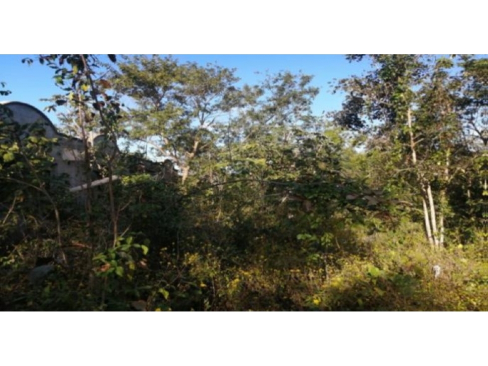 Terreno de 1,450 m² en Cancún | Oportunidad de Inversión - 1