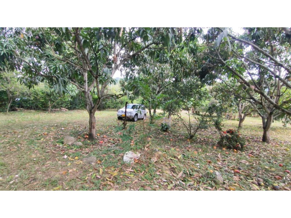 Terreno de 22542 M2 en 750 mill negociables en San Joaquín La Mesa Cun — foto 2