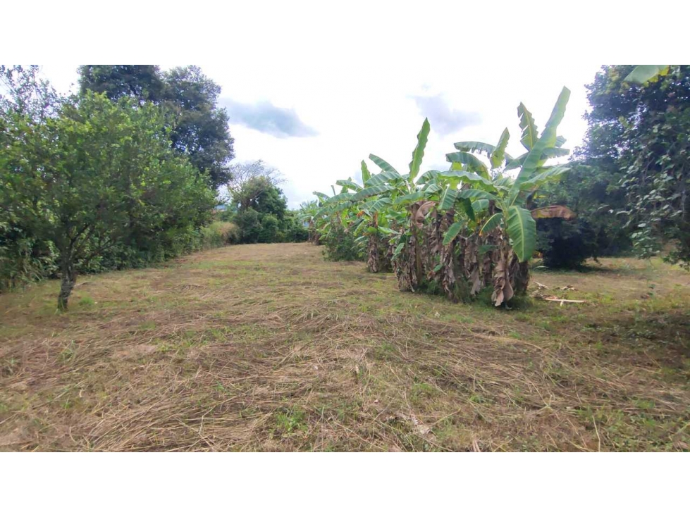 Terreno de 22542 M2 en 750 mill negociables en San Joaquín La Mesa Cun — foto 4