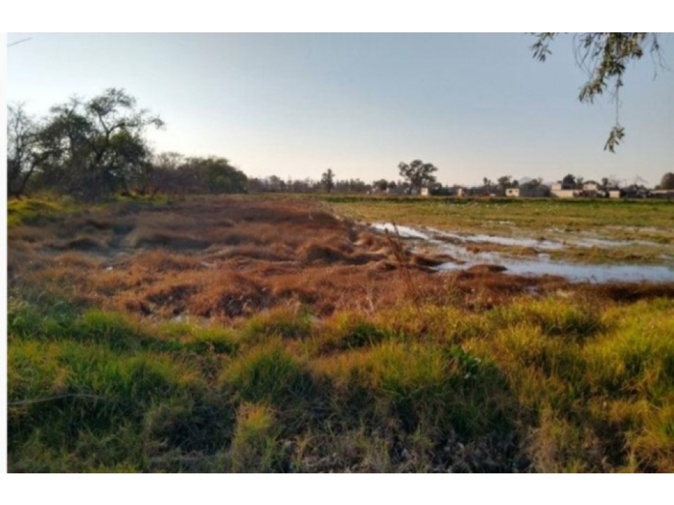 Terreno de 38,095 m² en Teoloyucan, Edomex | Ideal Inversionistas - 1