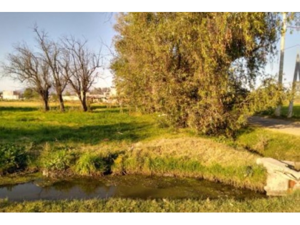 Terreno de 38,095 m² en Teoloyucan, Edomex | Ideal Inversionistas - 2