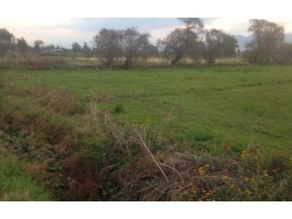 Terreno de 38,095 m² en Teoloyucan, Edomex | Ideal Inversionistas - 3