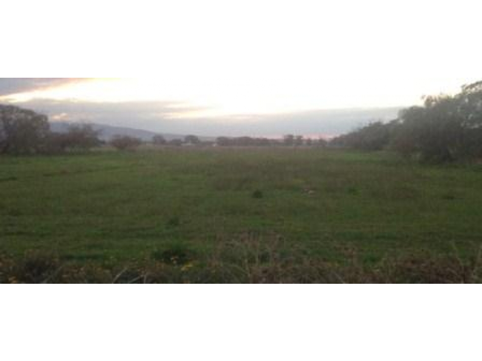 Terreno de 38,095 m² en Teoloyucan, Edomex | Ideal Inversionistas - 4