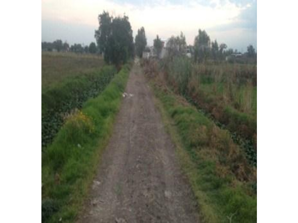 Terreno de 38,095 m² en Teoloyucan, Edomex | Ideal Inversionistas - 5