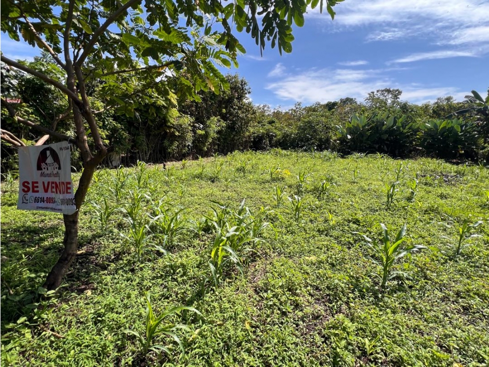 Terreno económico a la venta - 4